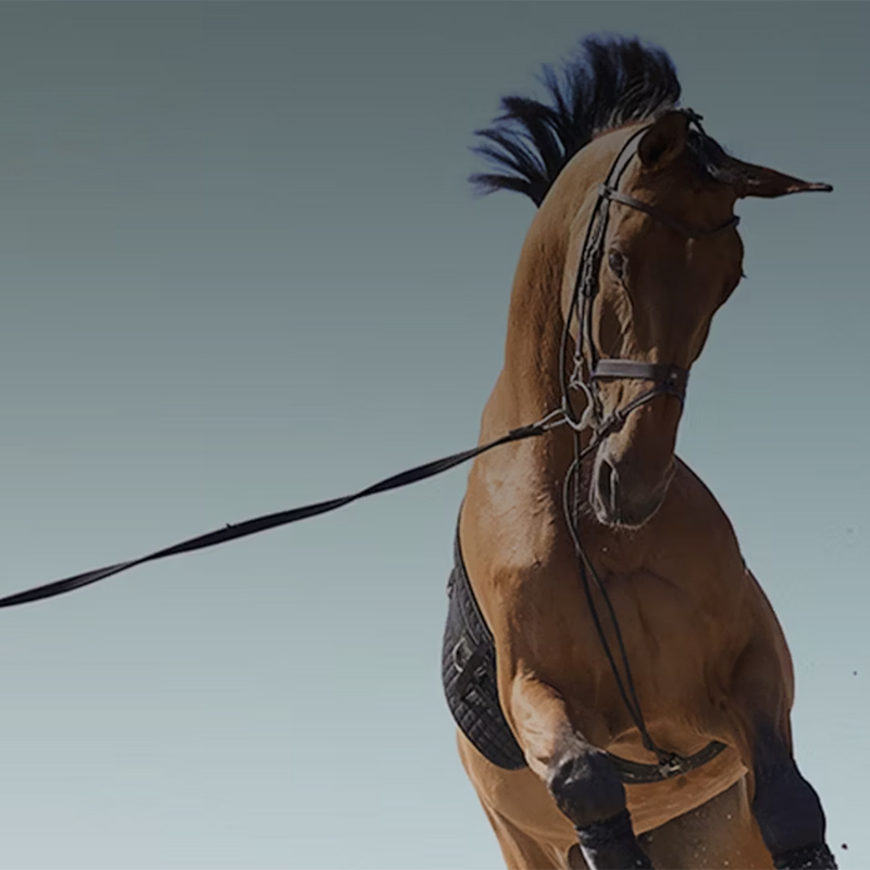 Read the PS of Sweden case study